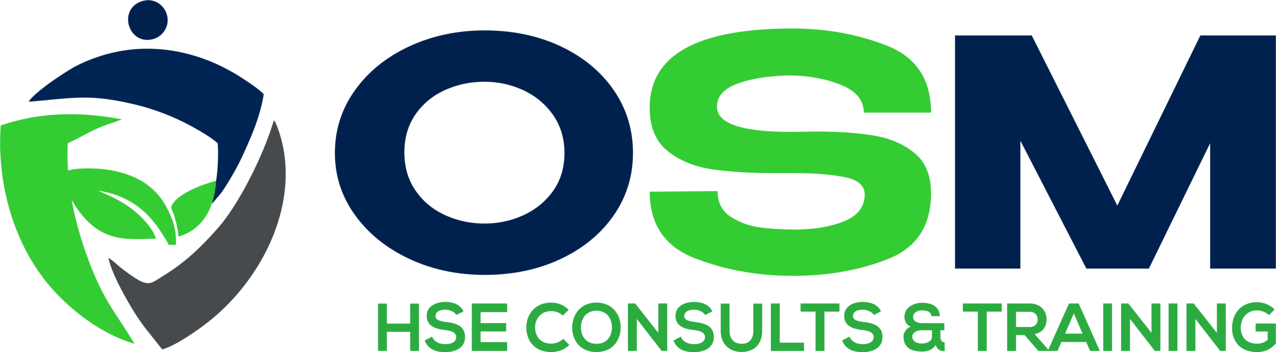 OSM logo